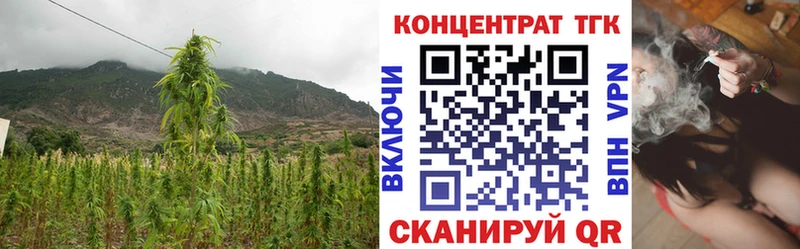 KRAKEN сайт  Тарко-Сале  ТГК концентрат  где можно купить наркотик 