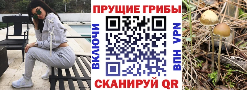 Псилоцибиновые грибы Psilocybine cubensis  продажа наркотиков  Тарко-Сале 